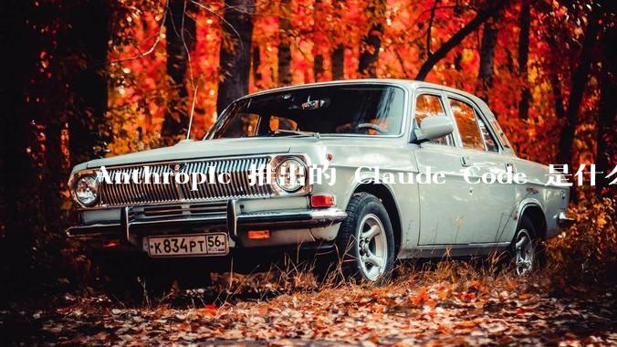 Anthropic 推出的 Claude Code 是什么技术原理呢？