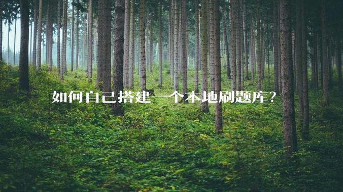 如何自己搭建一个本地刷题库？