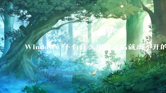 Windows 下有什么用过之后就离不开的冷门软件？