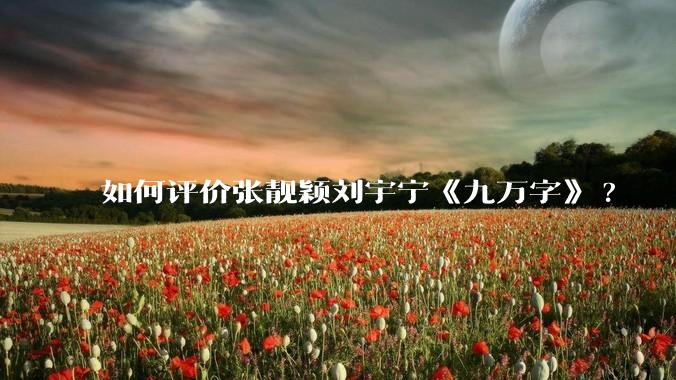 如何评价张靓颖刘宇宁《九万字》?