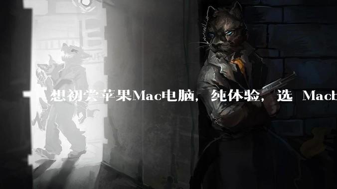想初尝苹果Mac电脑，纯体验，选 Macbook air 还是 pro？