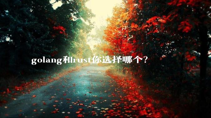 golang和rust你选择哪个？