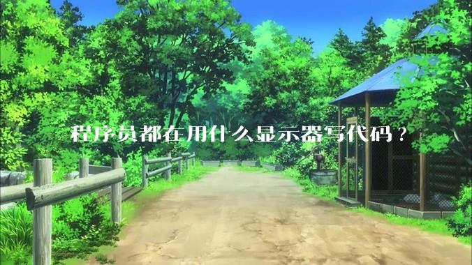 程序员都在用什么显示器写代码?