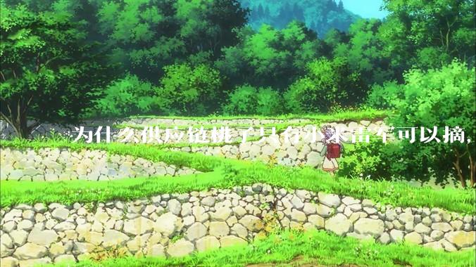 为什么供应链桃子只有小米雷军可以摘，其他人只能干瞪眼？