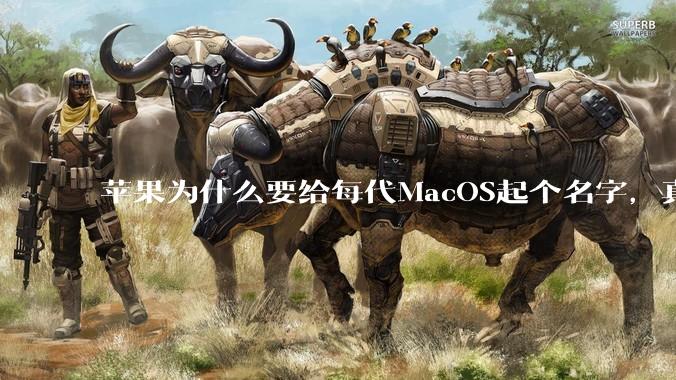 苹果为什么要给每代MacOS起个名字，真以为人们记得住分得清吗？