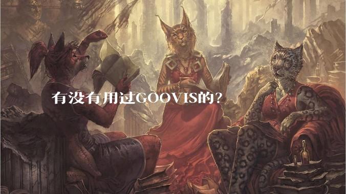 有没有用过GOOVIS的？