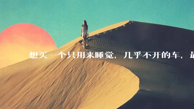想买一个只用来睡觉，几乎不开的车，最低成本是多少？