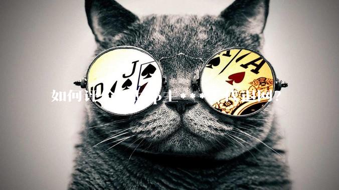 如何评价B站up主***千代退网？